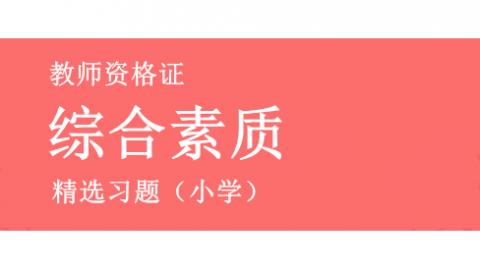 小学综合素质精选题库 